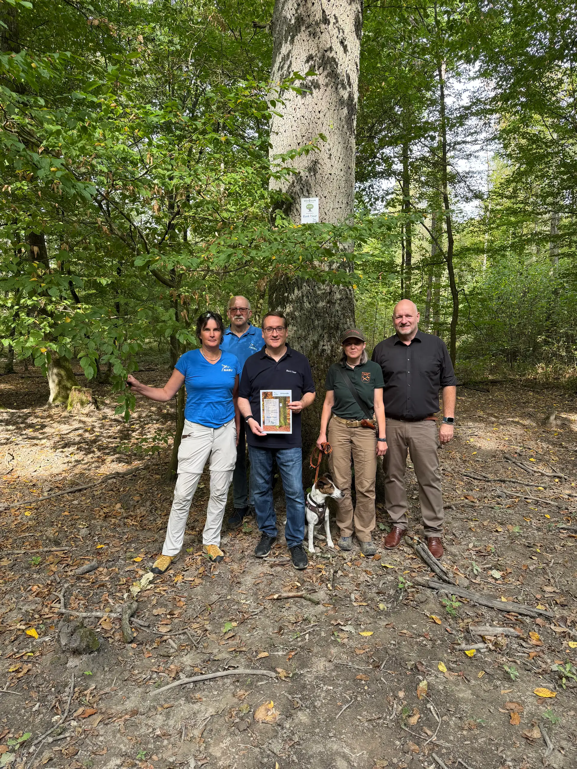 V.l.n.r. Die Landesvorsitzende des NABU Saarland, Corinna Heyer, Manfred Glaub, NABU Saar, Bank1 Saar Vorstandsmitglied Carsten Schmitt, Diensthund Quintus, die städtische Försterin Verena Lamy und Bürgermeister Christof Sellen vor der rund 150 Jahre alten Eiche.