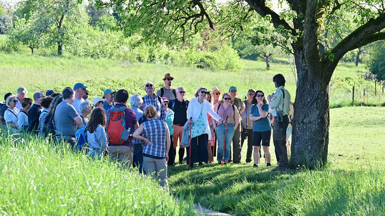 Strahlender Sonnenschein, engagierte Gespräche und faszinierende Einblicke: Gemeinsam mit Regionalverbandsdirektorin Dr. Carolin Lehberger erkundeten die Teilnehmenden der ersten Kultur- und Naturwanderung die vielfältige Landschaft rund um Kleinblittersdorf. Nun führt die Tour durch Friedrichsthal-Bildstock,
