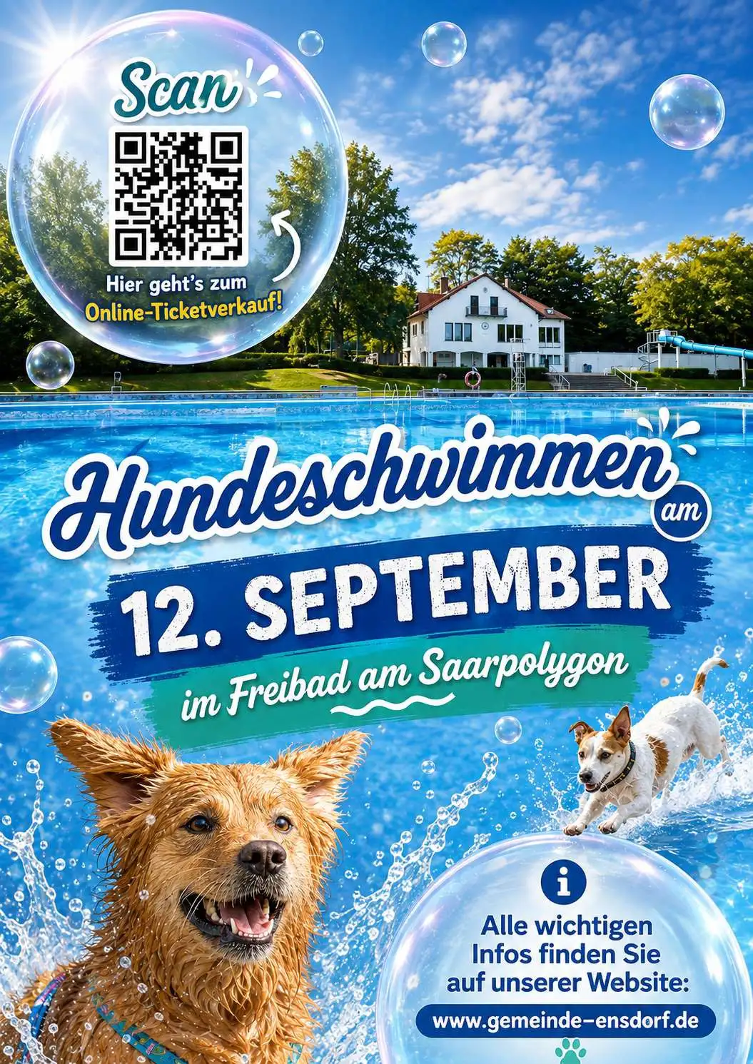 Hundeschwimmen im Freibad Saarpolygon: Zwei Zeitfenster zum Abschluss der Freibadsaison