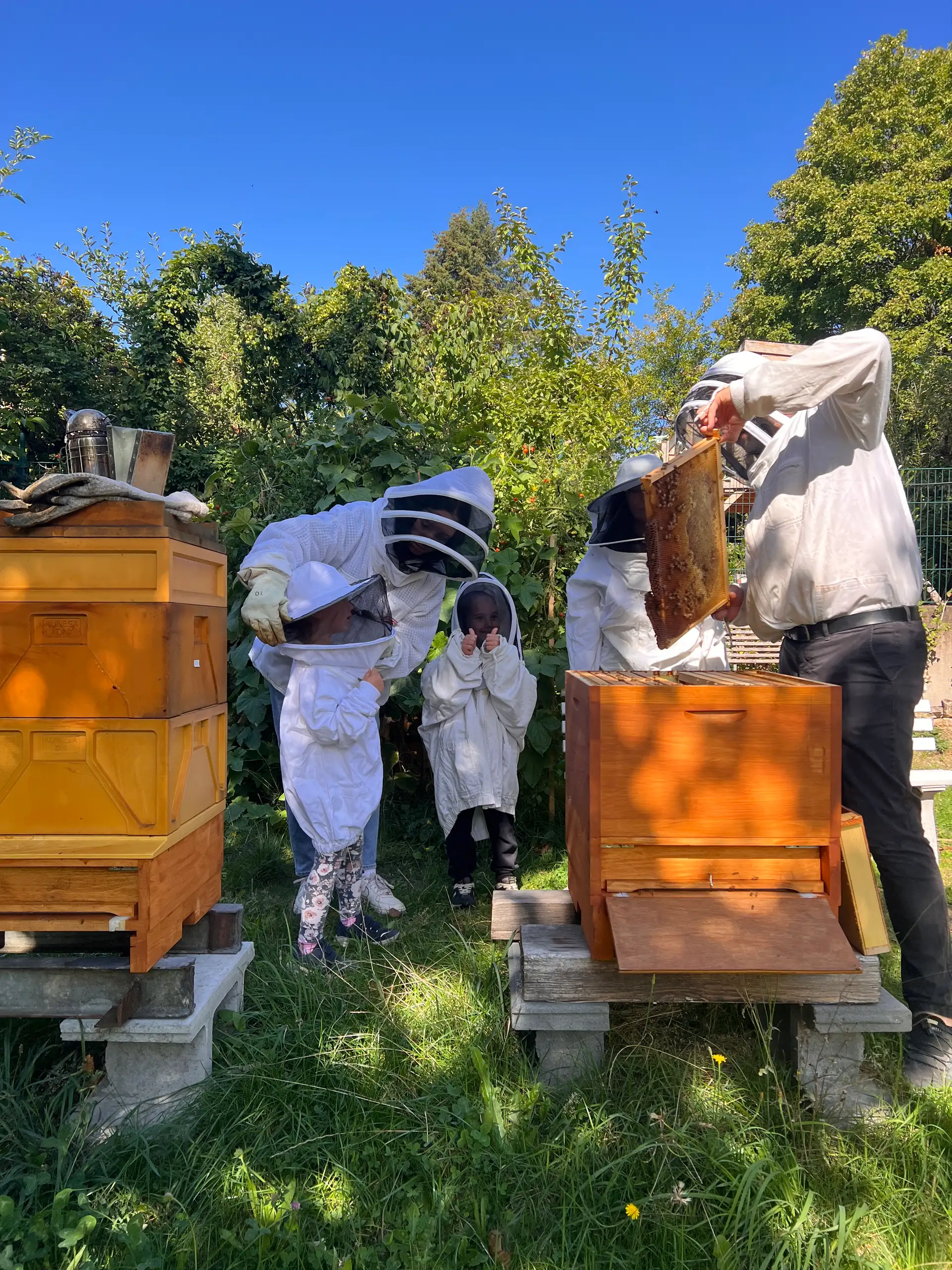 Zwei Kinder und zwei pädagogische Fachkräfte erkundeten in Imkeranzügen die faszinierende Welt der Bienen und konnten die fleißigen Insekten hautnah erleben.